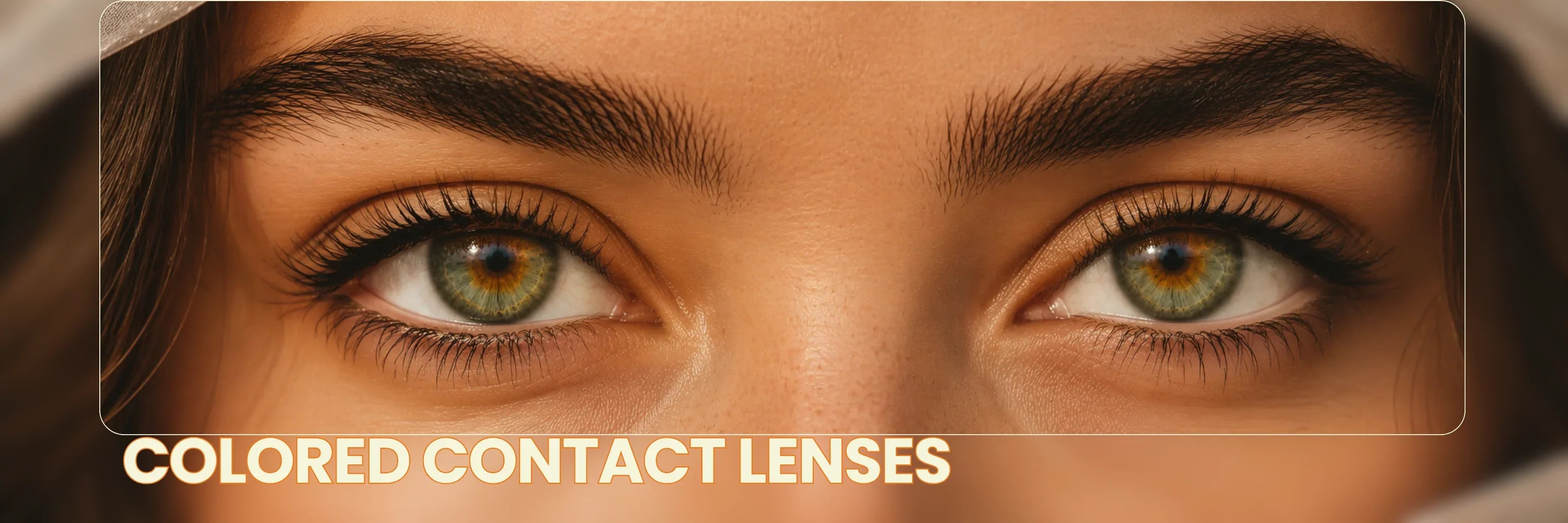 Contact Lenses