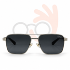 Cartier Santos Pilot Polarized Sunglasses | T800597