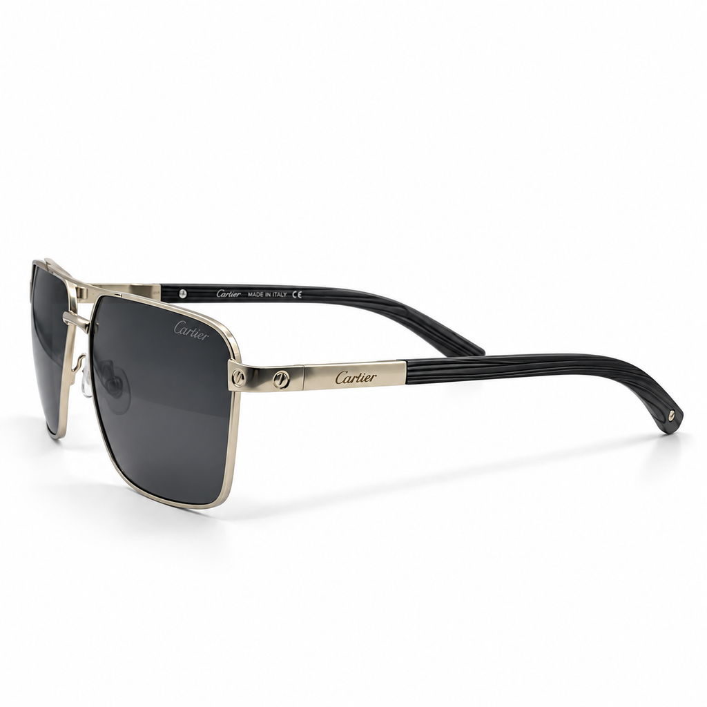 Cartier Santos Pilot Polarized Sunglasses | T800597