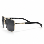 Cartier Santos Pilot Polarized Sunglasses | T800597