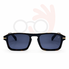 David Beckham DB 7105 Havana & Gold Rectangular Sunglasses  (56mm)