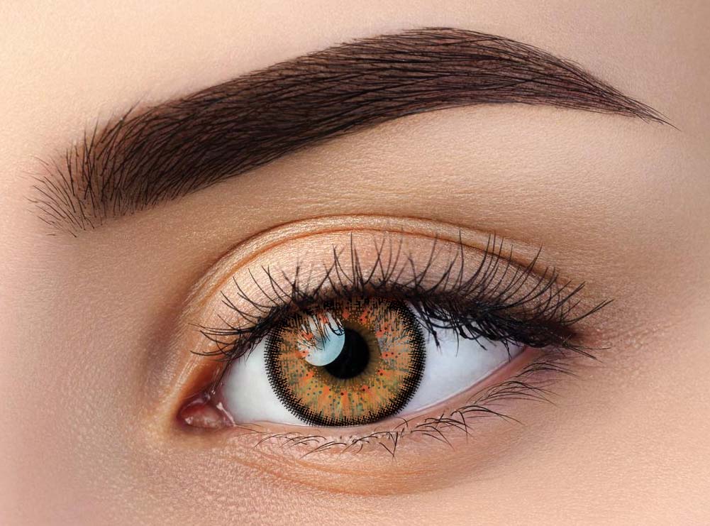 Brown Chestnut