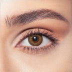 Bella Contact Lenses  Almond Brown