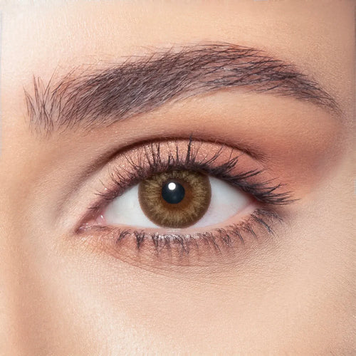 Bella Contact Lenses  Almond Brown