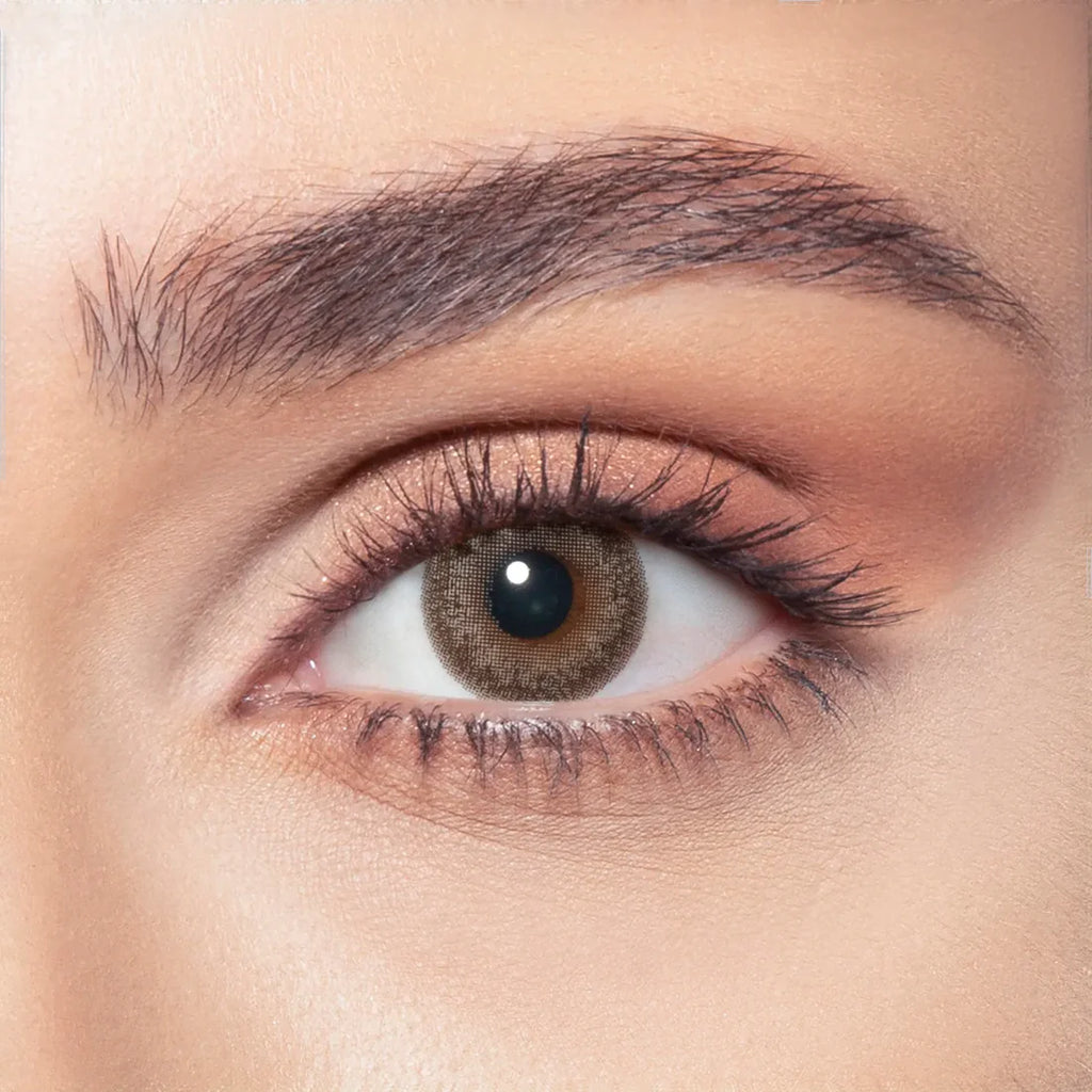 Bella Contact Lenses  Ash Brown