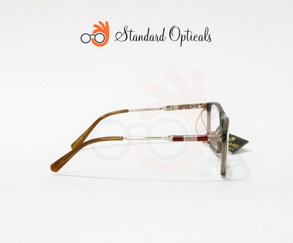 Ray Ban Frame