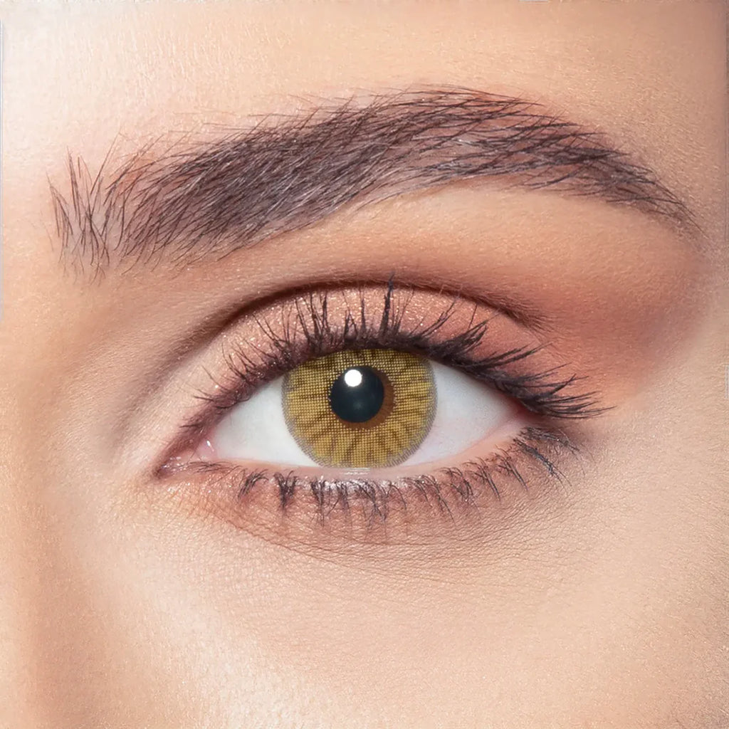 Bella Contact Lenses  Radiant Hazelnut