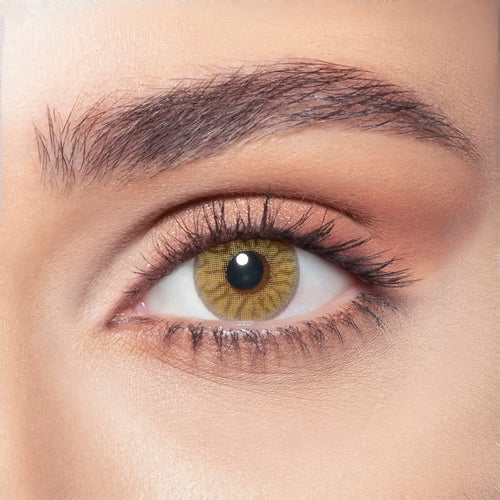 Bella Contact Lenses  Radiant Hazelnut