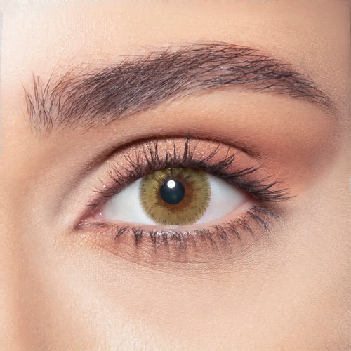 Bella Contact Lenses – Elite Collection (Silky Gold)